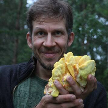 Joel Rosenberg, syötävä metsäpuutarha, hyötymetsäpuutarha, kurssit, villivihannekset, hyötykasvit